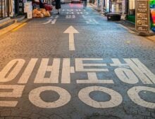 Fast internet speeds can’t save South Korea’s terrible websites