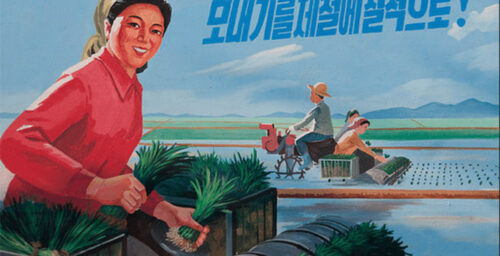 Let them eat rice: North Korea’s public distribution system