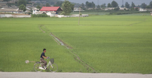 Food insecurity “expected to increase” in North Korea this year: FAO