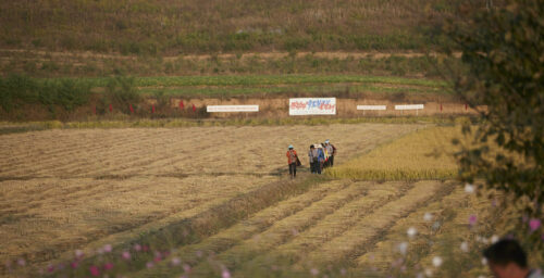Sowing the seeds of improving agriculture: Quakers in North Korea