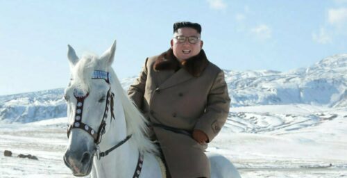 Russia ships 30 horses to North Korea in first bilateral rail trade in years