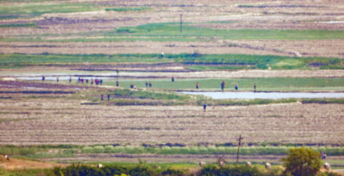 North Korean rural areas active as ‘fever’ rips through country