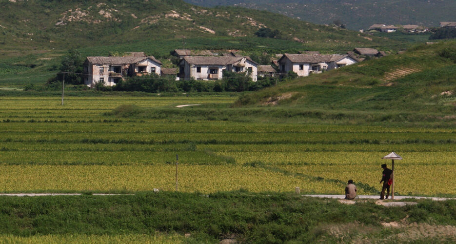 Despite drought, N. Korean cereal imports lower than 2014