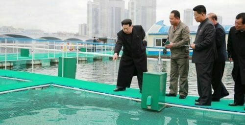 November: N. Korean regime shows leadership stability, emphasizes fishing