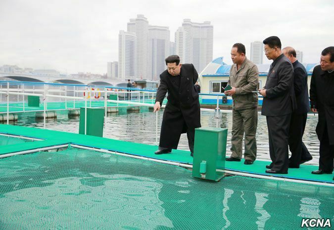 November: N. Korean regime shows leadership stability, emphasizes fishing