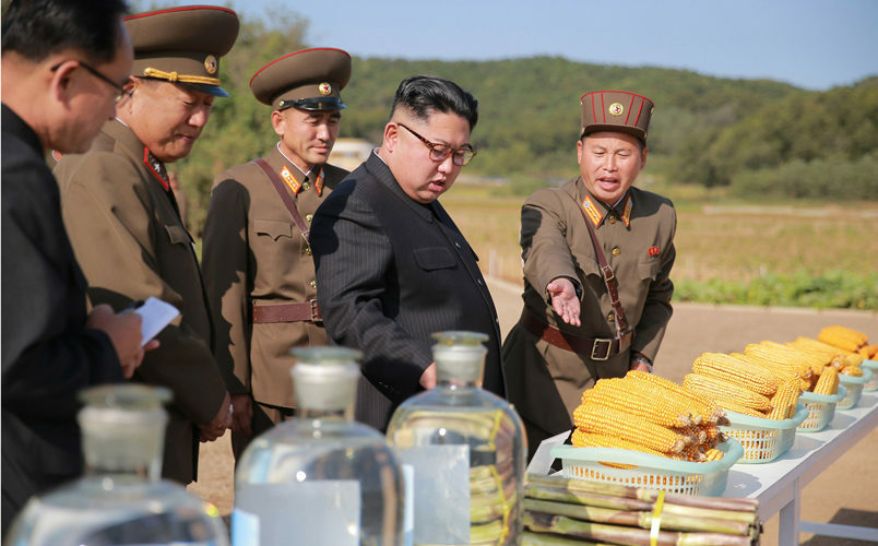 Kim Jong Un’s September activities: portraying calm under pressure