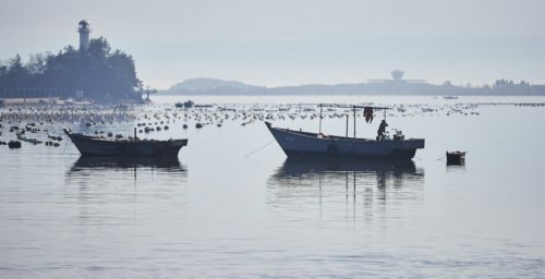 North Korean seafood exports to China drop to zero in September
