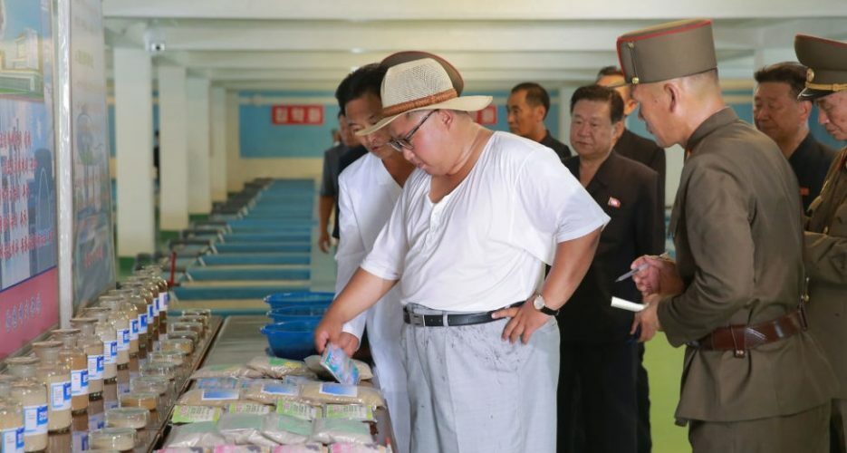 Price setting in North Korea: From marketization to institutionalization