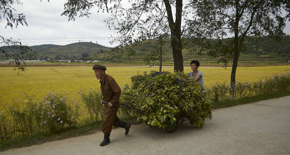 Pro-North Korea website details how the country achieved “bumper crop” in 2019