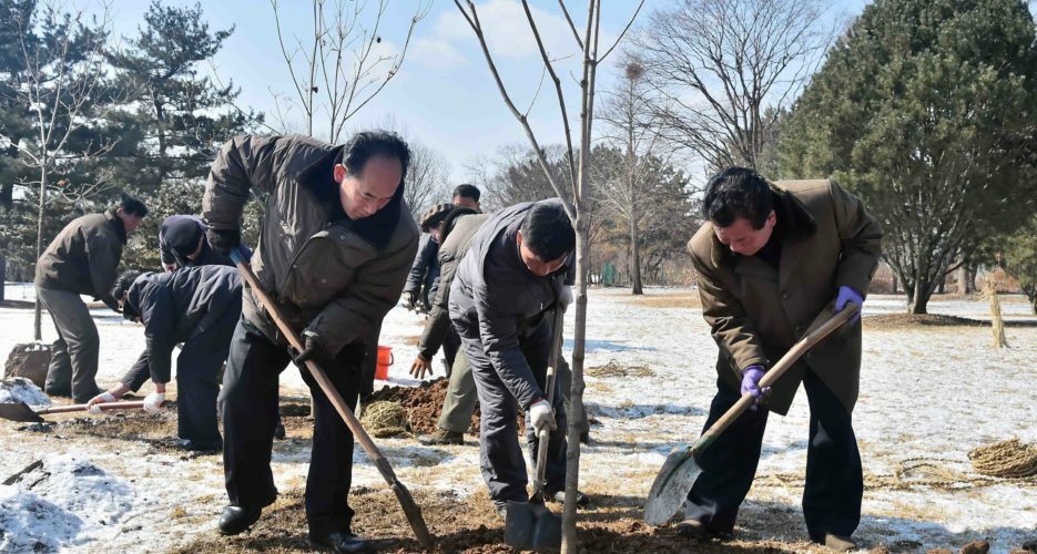 North Korea’s Tree-planting Day highlights nationwide nursery projects