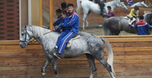 North Korea imported more Russian horses amid new work on elite equestrian parks