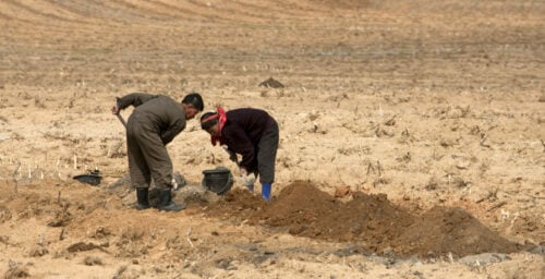 North Korea careens from floods to drought, straining an already fragile system