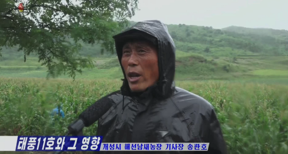 State media review: North Korea prepares for typhoon disaster that never came