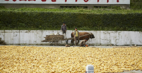 Surge in North Korean grain imports lays bare deepening hunger crisis
