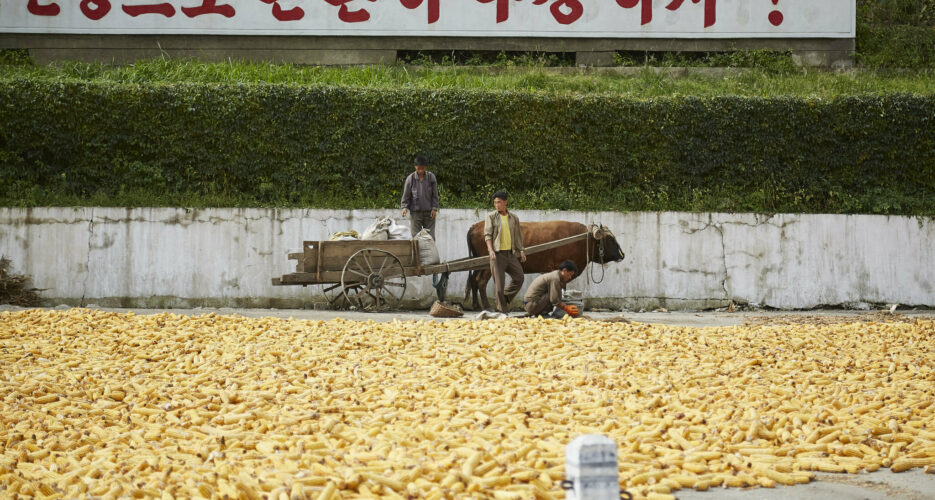 Surge in North Korean grain imports lays bare deepening hunger crisis