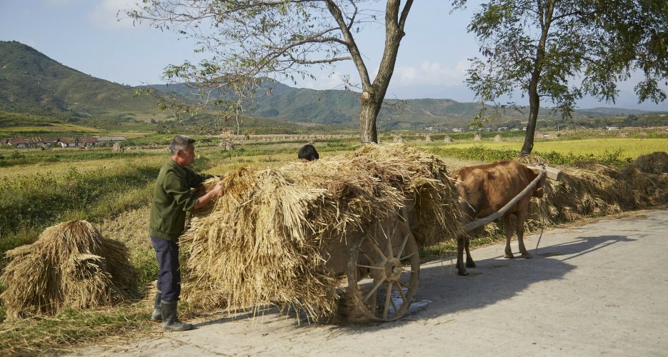The Problems and Opportunities of Agricultural Practices in the DPRK