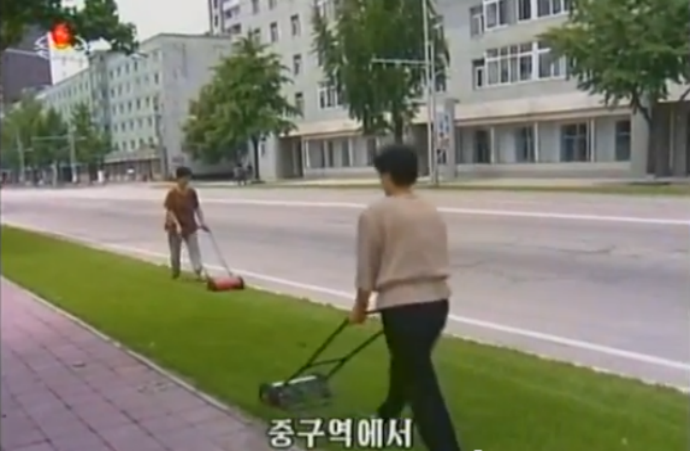 lawnmowers in central district