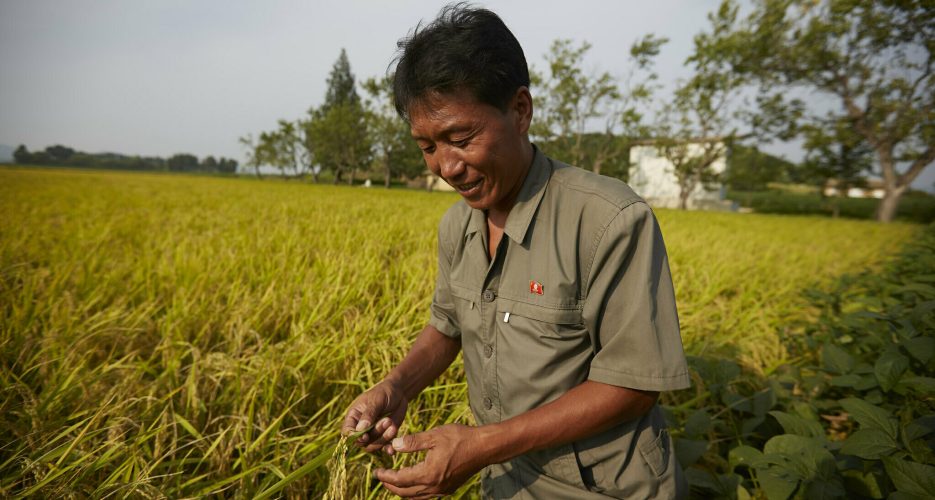 How economic reforms are changing N. Korea’s farming industry