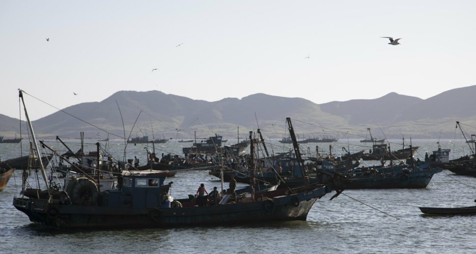 Signs of growth abound in N.Korea’s fishing industry