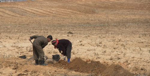 FAO issues new warning on North Korean drought impact