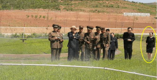 Kim Yo Jong reappears after 47-day absence