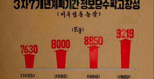Behind North Korea’s official economic numbers