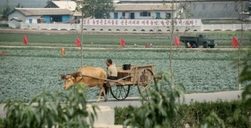 North Korea’s ‘campaign to secure water’ continues
