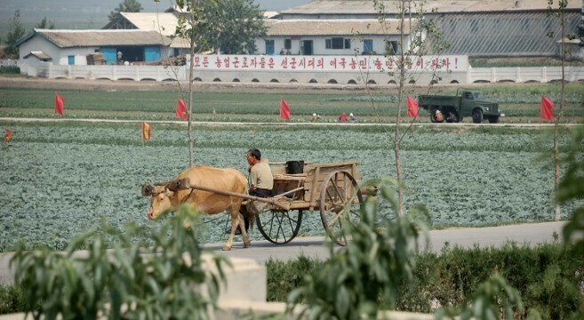 North Korea’s ‘campaign to secure water’ continues