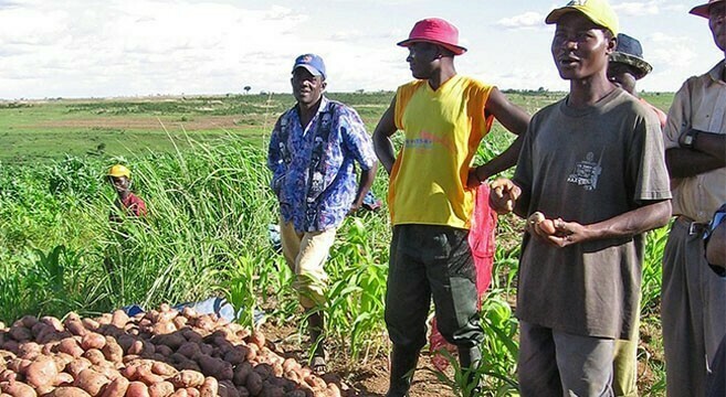 In Angola, potential for North Korean investment in agriculture
