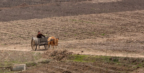 North Korea complains of ongoing “drought” conditions