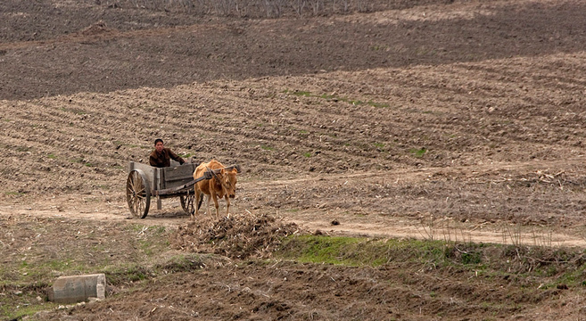 North Korea complains of ongoing “drought” conditions