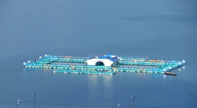 Kim Jong Un visits mobile, solar powered, floating fish farm