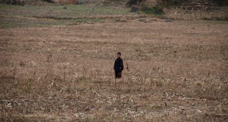 N.Korean food insecurity remains high, crop production down: Report