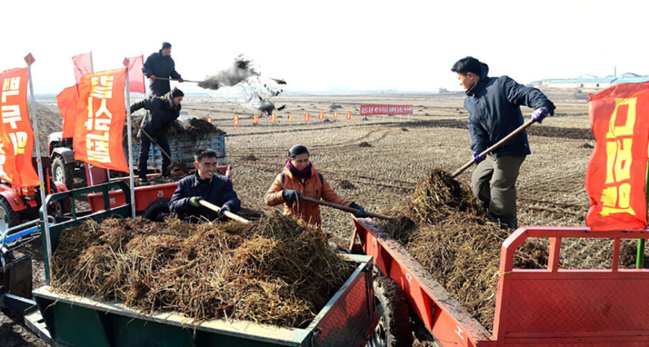 N.Korea’s 2016 crop production up 7% from last year