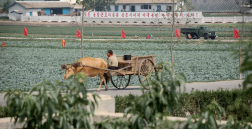 Why farmers may be sowing the seeds of North Korea’s economic reform
