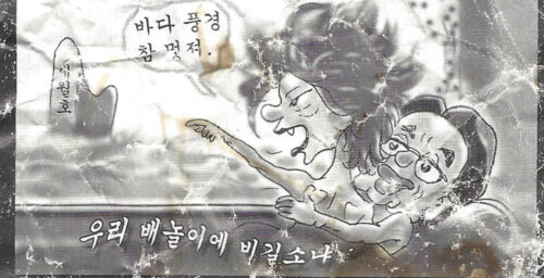 N.Korean leaflets with sexually explicit cartoons of Park found in Seoul