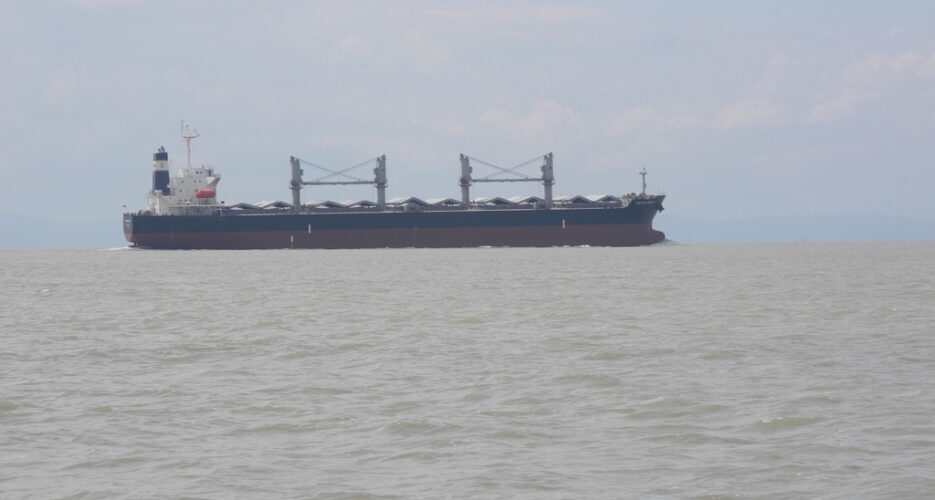 North Korean ship sinks near Chinese port