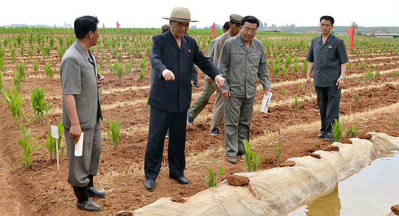 North Korean media claims victory in “life-and-death war” against drought