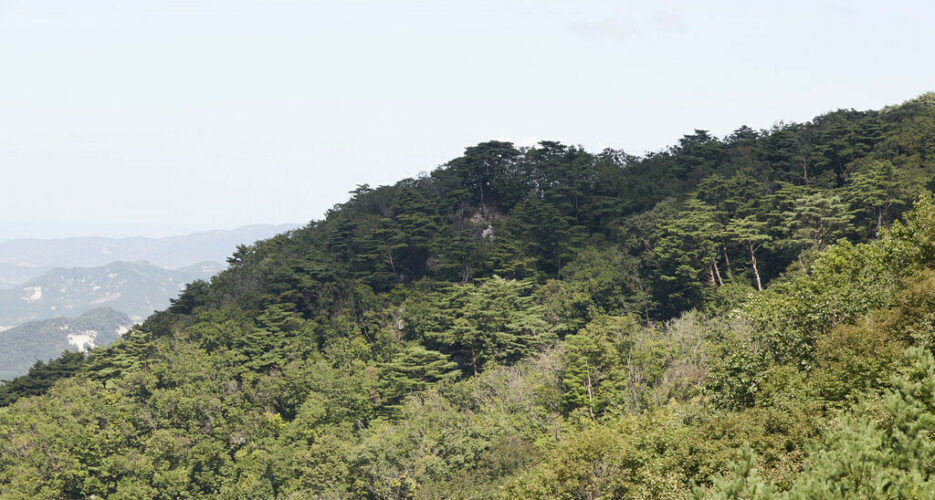 Seoul to launch project assessing N. Korean deforestation, environmental damage