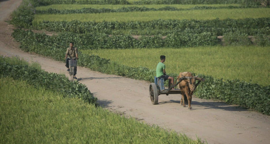 10.1 million people in North Korea food insecure: FAO, WFP