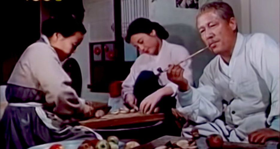 Domestic strivers as anti-heroines: household chores in North Korean movies
