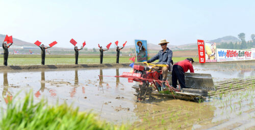 Severe drought in North Korea cut expected harvest output in half: IFRC