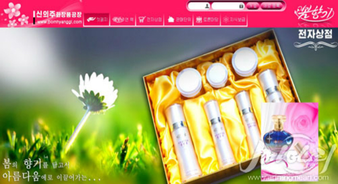 Top North Korean cosmetics brand launches new online shop