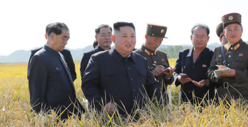 Kim Jong Un tours military-run farm in first appearance in almost a month