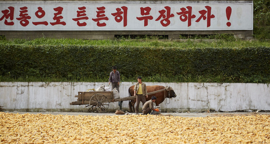 10.1 million North Koreans need “urgent” food aid despite “bumper harvest”: UN