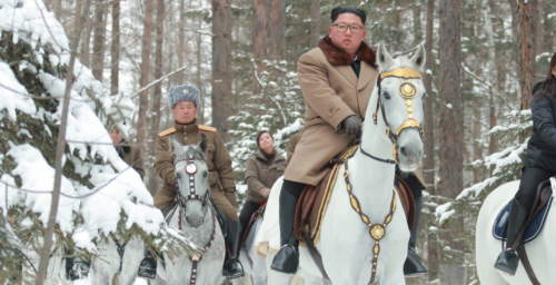 North Korea imported a dozen purebred horses from Russia last year, data shows