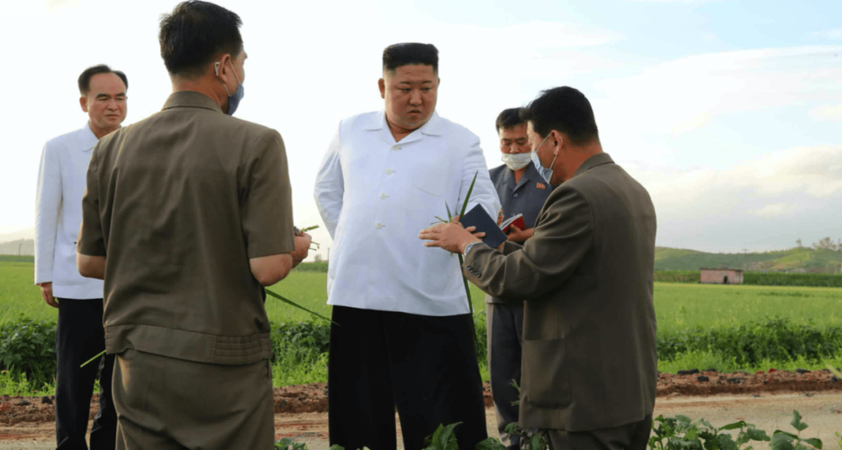 Kim Jong Un relieved by absence of major typhoon damage, inspection visit shows