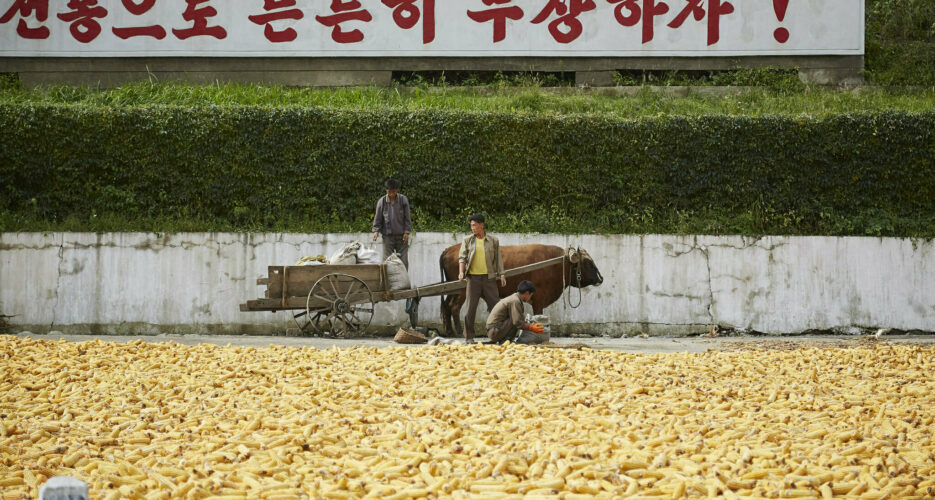 North Koreans are drying corn — and you can literally see it from outer space