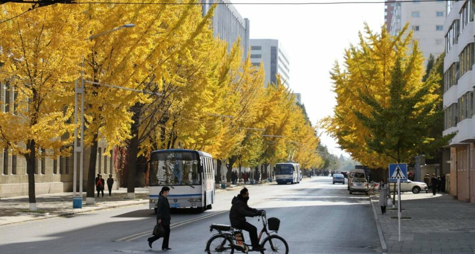 Photos: Pyongyang’s golden trees show North Korean autumn in full bloom