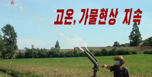 Blistering summer heat wave is killing North Korean crops: state media